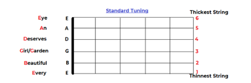 Standard Tuning Guitar